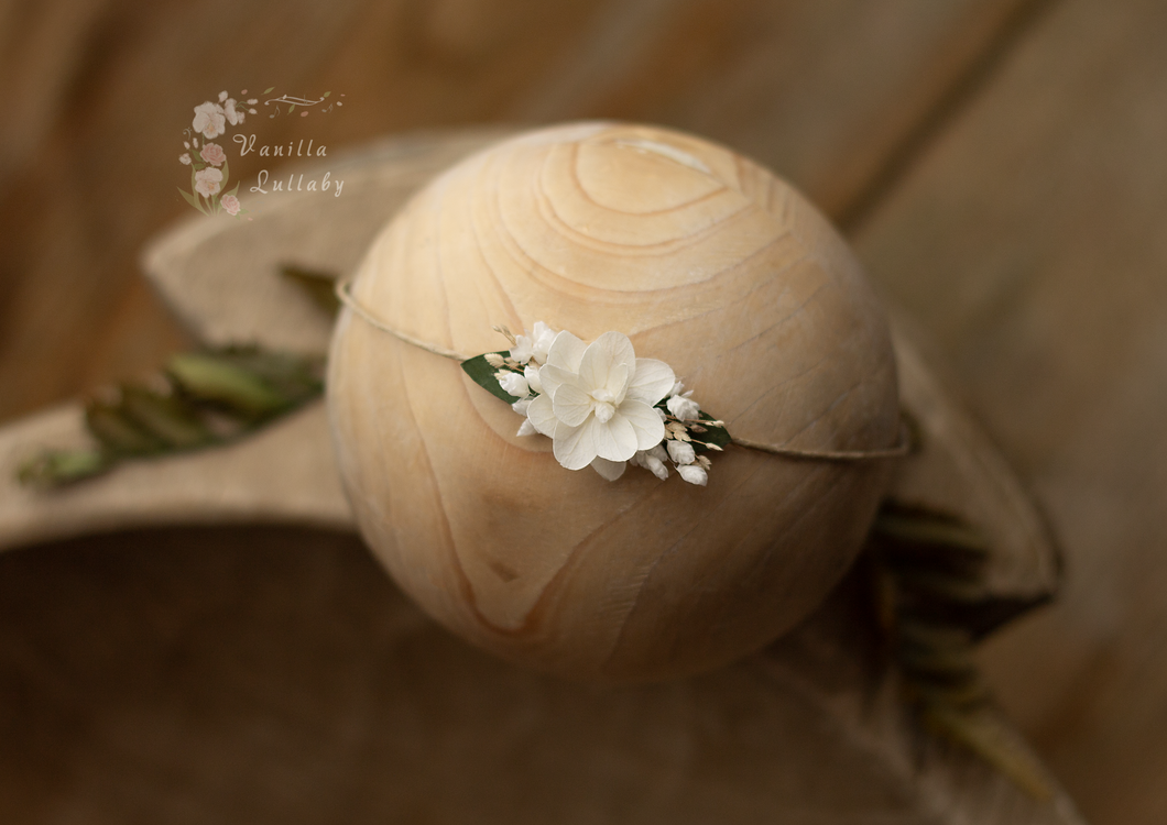 Dainty White Bloom