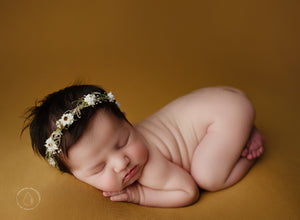 Little Daisies